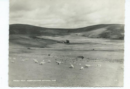 Wales Postcard Rp Pembrokeshire National Park. Larger Format. Preseli Hills - Pembrokeshire