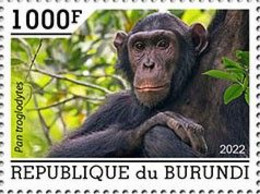 Burundi 2022, Animals, Monkey, 1val - Unused Stamps