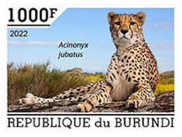 Burundi 2022, Animals, Ghepard, 1val IMPERFORATED - Neufs