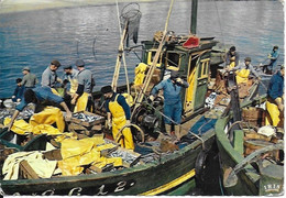 Retour De Pêche à Boulogne Sur Mer - Boulogne Sur Mer