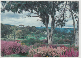 Wittunga Botanic Garden, Blackwood - Altri & Non Classificati