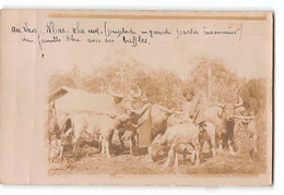 CPA Laos Carte Photo Khas Nha Eum - Peuplades Insoumises Avec Ses Buffles - Laos