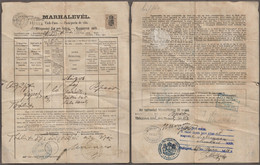 1882 Hungary PEST County Törökbálint / MUNKÁCS Ukraine - REVENUE TAX - CROWN Coat Of ARMS HORSE Animal Passport - Fiscale Zegels