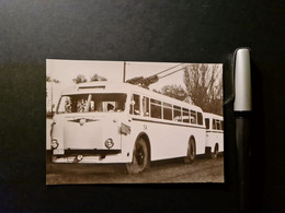 Oberleitungsbus 54, VEB „Ernst Grube“, Werdau,  Planet Verlag, Berlin, Foto-Repro, 10 X 14,5 Cm - Automobile