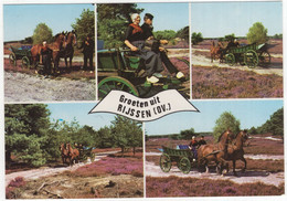 Groeten Uit Rijssen (OV.) - (Nederland / Holland) -  Nr. 663 - Paard En Wagen, Heide - Rijssen