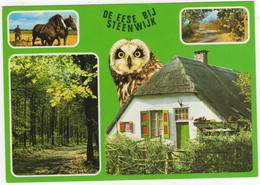 De Eese Bij Steenwijk - (Overijssel, Nederland / Holland) - Nr. L 7435 - Bos, Uil, Boerderij, Paarden - Steenwijk