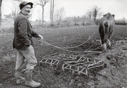 CM Le Faouet , Années 80 90 Photo Rolland Bouexel, L'aventure Carto. - Le Faouet