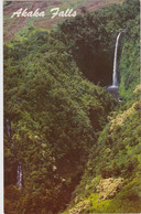 Hawaii Hilo Akaka Falls - Hilo