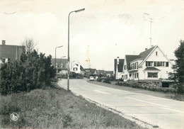 BELGIQUE RHODE St GENESE  Avenue De La Liberation      (cpsm) - St-Genesius-Rode