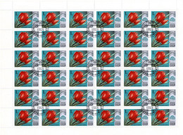 USSR 1978 Mi 4722 TULIP FLOWERS FULL SHEET 36 STAMPS - Full Sheets