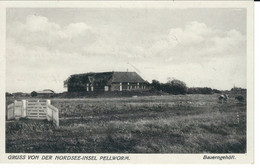 Gruß Von Der Nordseeinsel Pellworm,  Rückseite Beschrieben - Nordfriesland