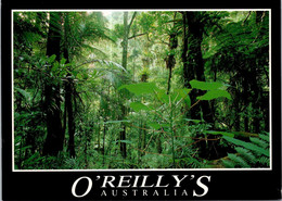 (3 F 20) Australia - QLD - O'Reilly's  (with Australian Koala Stamp) - Atherton Tablelands