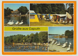 MBK Grüße Aus Caputh Kr. Potsdam Fährhaus Campingplatz Strandbad Fähre, 1988 Postalisch Gelaufen Mit SSt, 2 Scans - Caputh