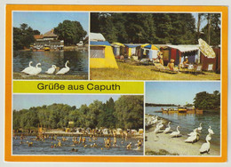 MBK Grüße Aus Caputh Kr. Potsdam Fährhaus Campingplatz Strandbad Fähre, 1987 Postalisch Gelaufen Mit SSt, 2 Scans - Caputh