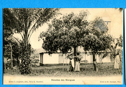 OV716, Récolte Des Mangues, Ramseyer Mission De Bâle Au Gahna, Circulée 1908 - Missions