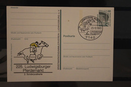 Deutschland 1993,  225. Ludwigsburger Pferdemarkt, Wertstempel Sehenswürdigkeiten, SST - Private Postcards - Used