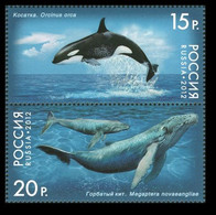 2012 Russia 1788-1789Paar Marine Fauna - Whales 4,20 € - Ongebruikt