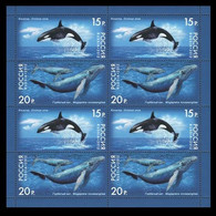 2012 Russia 1788-1789KL Marine Fauna - Whales 17,00 € - Ongebruikt