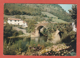 CP 64 BIDARRAY 2 Le Pont Noblia Sur La Nive - Bidarray