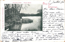 CPA-Carte Postale   Germany  Schwetzingen Chinesiche Brücke -1902   VM44722+ - Schwetzingen