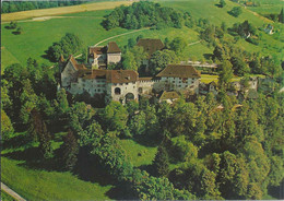 Lenzburg - Schloss  (Luftaufnahme)         Ca. 1980 - Lenzburg