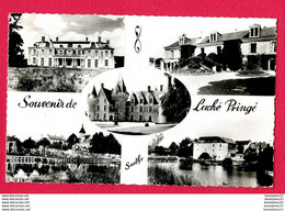 CPSM Petit Modèle (Réf : Y792) Souvenir De Luché Pringé (72 SARTHE) MULTI VUES - Luche Pringe