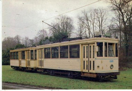 BRUXELLES-TRAM 81-Motrice Type Standard 1950 - Transporte Público