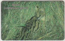 ΝΑΜΙΒΙΑ - Serval Cat, CN:NAEI, Dashed Zero: "Ø" ,10 $ ,used - Namibie