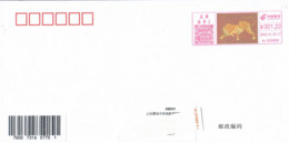China 2022, Franking Meter, Year Of Tiger, On Circulated Cover, Arrival Postmark On Back - Briefe U. Dokumente