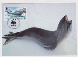 MC 034490 BRITISH ANTARCTIC TERRITORY - Ross Seal - Maximumkaarten