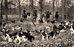 Vibraye * La Chasse à Courre En Forêt * L'hallali * Vénerie * Meute De Chiens - Vibraye