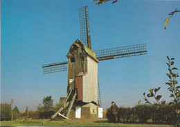 MOULIN A VENT + Carte Postale Neuve : STEENVOORDE - C13 - Drievenmeulen - ARAM Nord Pas-de-Calais - Steenvoorde