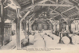 NEUVILLE-de-POITOU. - Maison LOUIS GAZEAU. Vins. - Vue Générale Intérieure Des Magasins. Carte RARE - Neuville En Poitou