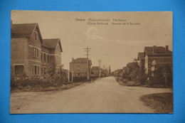 Oolen 1931 (Radiumfabriek) : Heidelaan - Avenue De La Bruyère Animée - Olen