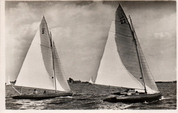 Voile, Régate: Friesche Zeilsport - Carte Non Circulée - Sailing