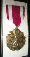 MEDAILLE USA POUR MERITORIOUS SERVICE - USA