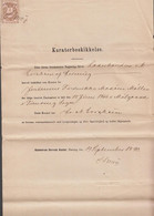 1890. DANMARK. Kuratorbeskikkelse With 1 KRONE STEMPELMÆRKE. Dated 19/9 90 Hammerum Herreds Kontor, Hernin... - JF516936 - Fiscale Zegels