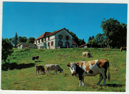 Suisse// Schweiz // Vaud // Ste-Croix, Pension Du Mont De Baulmes - Baulmes