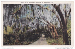Florida St Augustine Drive In Dr Garnett's Grounds 1928 - St Augustine