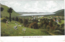 Blick Auf Arth Und Den Zugersee Serie 51 Arth-Rigi-Bahn - Arth