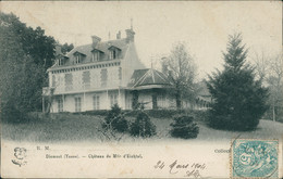 89 DIXMONT / Château De Melle Eichtall / - Dixmont