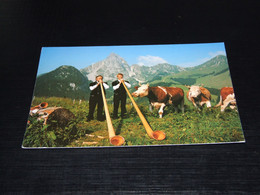 41815-                                 ALPHORN-DUO ANTON WICKY, KALTBRUNN - Cows