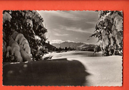 NAE-25 Crans-Montana Paysage D'hiver  Perrochet 3000 - Crans-Montana