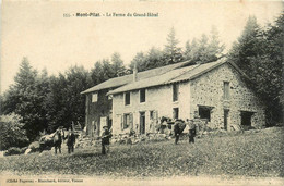 Mont Pilat * La Ferme Du Grand Hôtel * Travail à La Ferme Paysan Agriculture - Mont Pilat