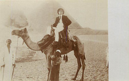 Pays Div-ref AA491- Egypte - Egypt - Carte Photo - Photo Postcard - Chameau Devant Les Pyramides  - - Piramiden