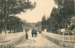 VAR  TAMARIS SUR MER  Avenue De La Rouve - Tamaris