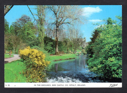 Ireland - OFFALY - In The Grounds , Birr Castle ( Dollard N° S. 22) - Offaly