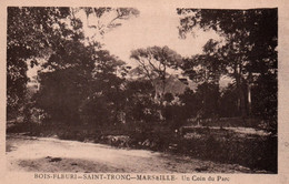 13 / MARSEILLE / SAINT TRONC / BOIS FLEURI / UN COIN DU PARC - Saint Marcel, La Barasse, St Menet