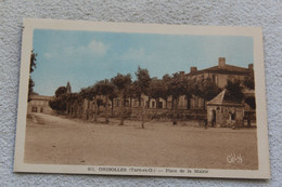 Grisolles, Place De La Mairie, Tarn Et Garonne 82 - Grisolles