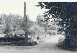 Brugelette , Rue De Beloeil , Septembre 1965 , Copy - Brugelette